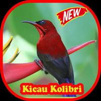 Kicau Kolibri Merah HD Affiche