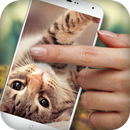 Stroke The Cat Simulator APK