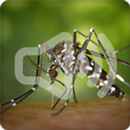 Mosquito Sounds Ringtone APK