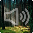 Tropical Forest Sounds Ringtone