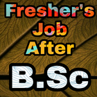 Freshers Job After BSc icône