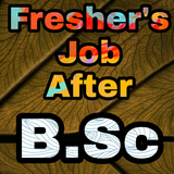 Freshers Job After BSc 아이콘