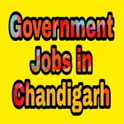 Government Job in Chandigarh ícone