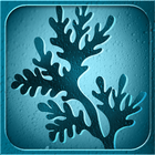 Olmix Breiz Algae Tour icon