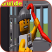 Guide LEGO Juniors