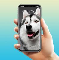 Husky Adorable Pet Siberian Dog App Lock скриншот 2