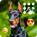 Doberman Dog Wallpaper HD Lock Password PIN APK