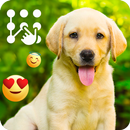 Golden Labrador Puppy Screen Lock Phone Pattern APK