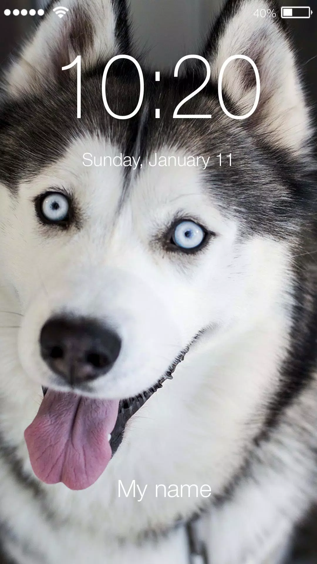 Tải xuống APK Cute Hasky Puppies Husky Dog Screen Lock cho Android