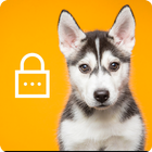 Siberian Huski Screen Lock Dog Phone Lock Security 圖標