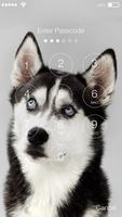 Siberian Huski Screen Lock Dog Phone Lock Security 截圖 1