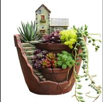 Succulent plant pot design poster