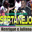 Henrique e Juliano Sua Música