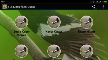 Full Kicau Kacer Juara capture d'écran 2