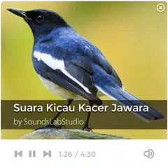 Descargar APK de Suara Kicau Kacer Jawara