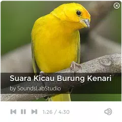 download Suara Kicau Burung Kenari APK