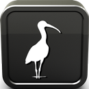 Ibis Sounds Ringtone APK