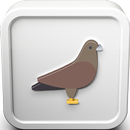 Spotted Dove Bird Call Sounds APK