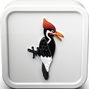 Woodpecker Bird Call Sounds Ringtone APK