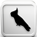 Yellow Tailed Black Cockatoo Bird Call Ringtone APK