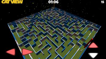 Ridiculous Maze 2 الملصق