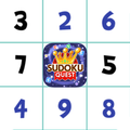 Premium Sudoku Crossword Puzzle Logic with numbers