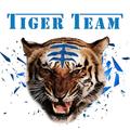 Tiger Team