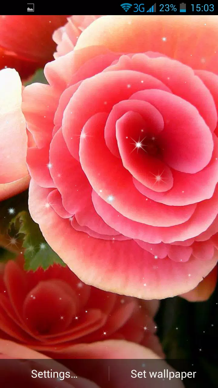 Android向けの夏の花ライブ壁紙 Apkをダウンロードしましょう