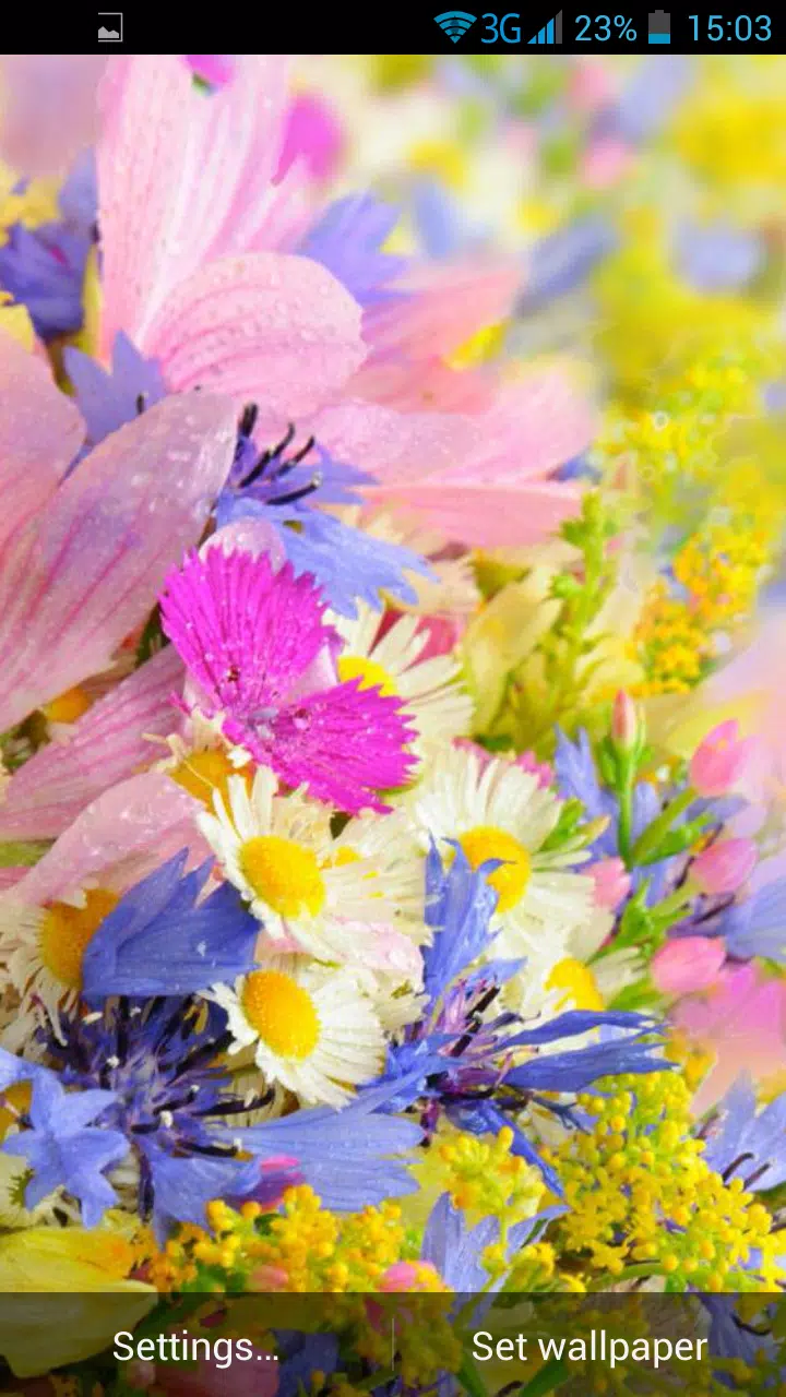 Android向けの夏の花ライブ壁紙 Apkをダウンロードしましょう