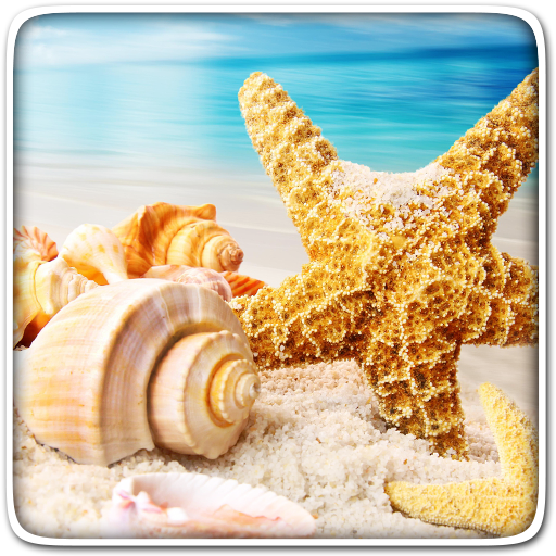 Summer Live Wallpaper