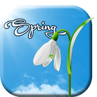 Sunny Spring Live Wallpaper ikon