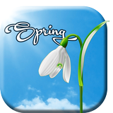 Sunny Spring Live Wallpaper icon