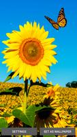 Sunny Spring Live Wallpaper plakat