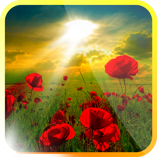 Sunrise Live Wallpaper