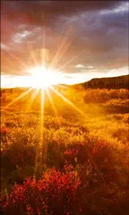 Sonnenaufgang Live-Hinterland APK Herunterladen