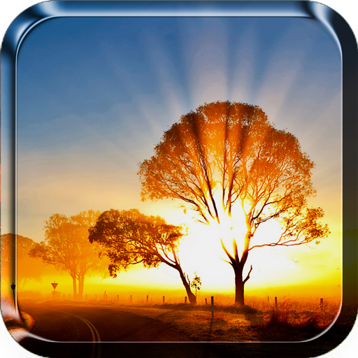 Sonnenaufgang Live Hintergrund