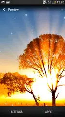 Sonnenaufgang Live Hintergrund APK Herunterladen