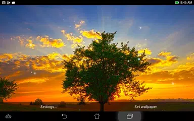 Sonnenaufgang Live Hintergrund APK Herunterladen