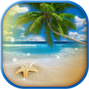 Plage tropicale - fond animé APK