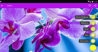 Super Flowers Wallpaper 截图 1