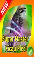 Super Master Kicau Cucak Rowo 海報