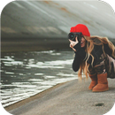 Girl and camera. HD wallpapers APK