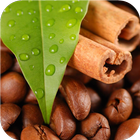 Sweet coffee. Beans wallpapers 图标