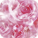 Pink dreams. Flower wallpaper aplikacja