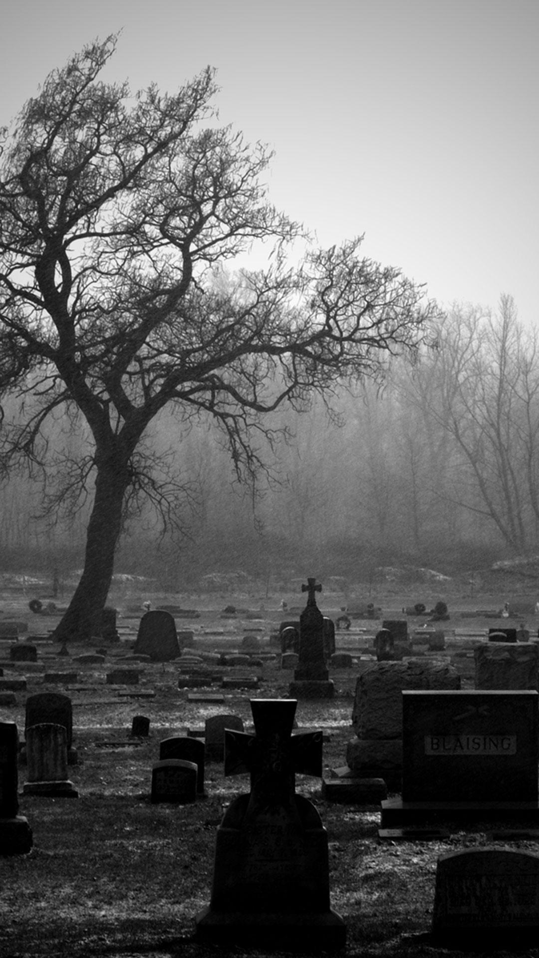 Живое кладбище могилы. Красивое кладбище. Кладбище ночью. Фон могилы.