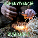 Supervivencia - Bushcraft APK