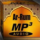 Surah Ar - Rum Mp3 APK