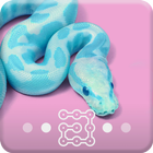 Snake Tumblr Pastel Wallpapers Pattern Lock Screen-icoon