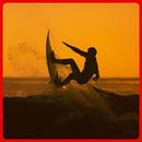 APK Surf Board Design Ideas