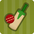 Village Cricket